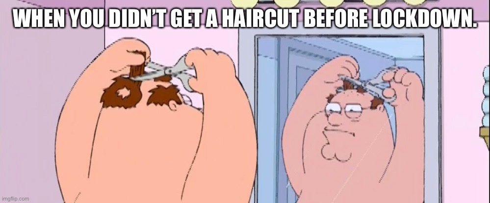 WHEN YOU DIDN’T GET A HAIRCUT BEFORE LOCKDOWN. | image tagged in funny,peter griffin | made w/ Imgflip meme maker