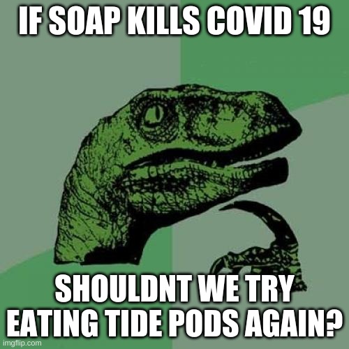 Philosoraptor | IF SOAP KILLS COVID 19; SHOULDNT WE TRY EATING TIDE PODS AGAIN? | image tagged in memes,philosoraptor | made w/ Imgflip meme maker