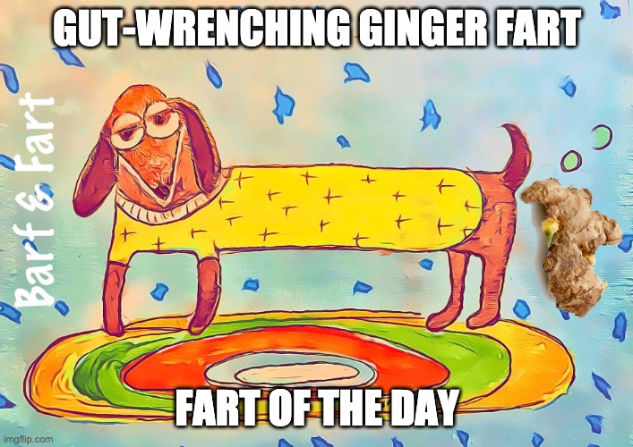 gut-wrenching ginger fart | GUT-WRENCHING GINGER FART; FART OF THE DAY | image tagged in ginger,fart,fotd,barf and fart,bad pun greg gutfeld | made w/ Imgflip meme maker