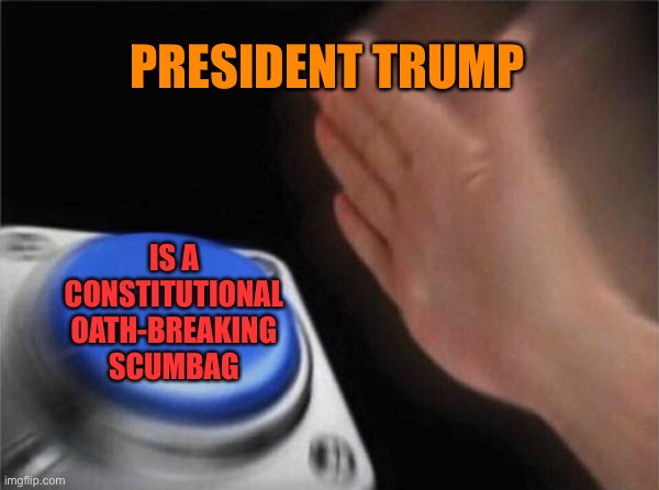 When they challenge you, a liberal, to use the words “President” and “Trump” in the same sentence | PRESIDENT TRUMP; IS A CONSTITUTIONAL OATH-BREAKING SCUMBAG | image tagged in memes,blank nut button,president trump,liberal,politics lol,dunkin' | made w/ Imgflip meme maker