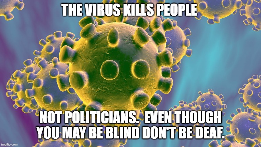 Carona Virus | THE VIRUS KILLS PEOPLE NOT POLITICIANS.  EVEN THOUGH YOU MAY BE BLIND DON'T BE DEAF. | image tagged in carona virus | made w/ Imgflip meme maker
