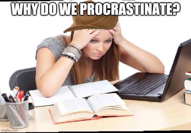 Procrastination | WHY DO WE PROCRASTINATE? | image tagged in procrastination | made w/ Imgflip meme maker