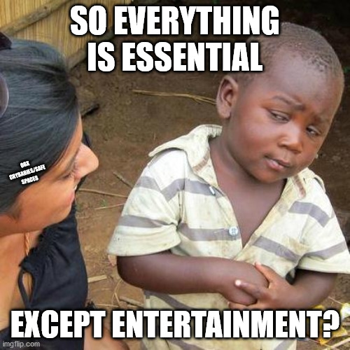 I'm bored | SO EVERYTHING IS ESSENTIAL; OBX CRYBABIES/SAFE SPACES; EXCEPT ENTERTAINMENT? | image tagged in memes,third world skeptical kid,covid-19,essential | made w/ Imgflip meme maker