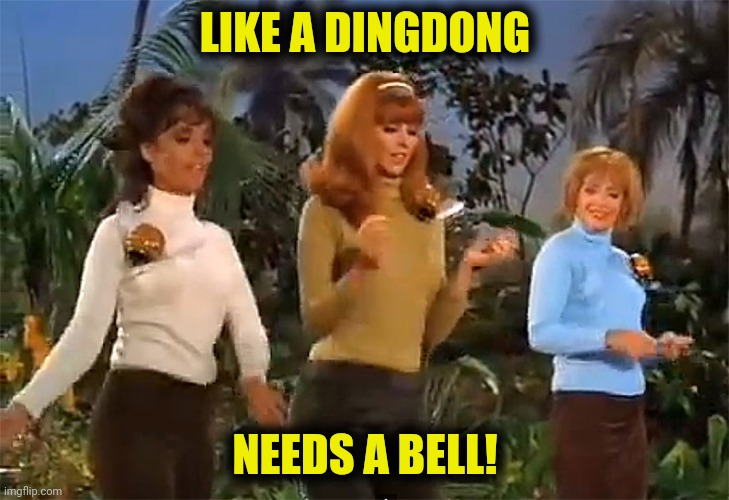 LIKE A DINGDONG NEEDS A BELL! | made w/ Imgflip meme maker