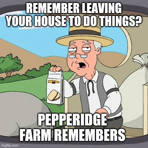 Pepperidge Farm Remembers Meme | REMEMBER LEAVING YOUR HOUSE TO DO THINGS? PEPPERIDGE FARM REMEMBERS | image tagged in memes,pepperidge farm remembers | made w/ Imgflip meme maker