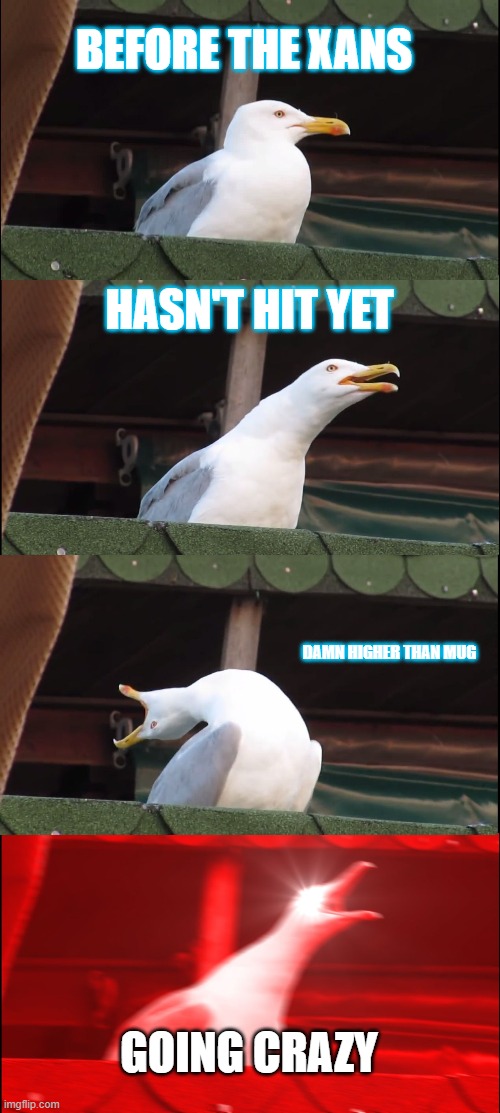 Inhaling Seagull | BEFORE THE XANS; HASN'T HIT YET; DAMN HIGHER THAN MUG; GOING CRAZY | image tagged in memes,inhaling seagull | made w/ Imgflip meme maker
