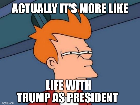 Futurama Fry Meme | ACTUALLY IT'S MORE LIKE LIFE WITH TRUMP AS PRESIDENT | image tagged in memes,futurama fry | made w/ Imgflip meme maker