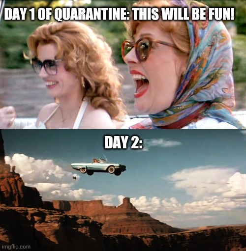 DAY 1 OF QUARANTINE: THIS WILL BE FUN! DAY 2: | image tagged in thelma and louise laughing,thelma and louise airborne | made w/ Imgflip meme maker