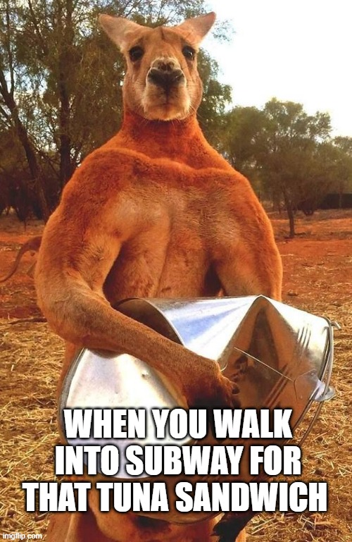 Post work out | WHEN YOU WALK INTO SUBWAY FOR THAT TUNA SANDWICH | image tagged in kangaroo crushing tin bucket,workout,gym,gym memes | made w/ Imgflip meme maker