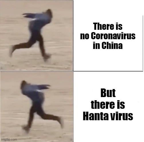 Naruto Runner Drake (Flipped) | There is no Coronavirus in China; But there is Hanta virus | image tagged in naruto runner drake flipped | made w/ Imgflip meme maker