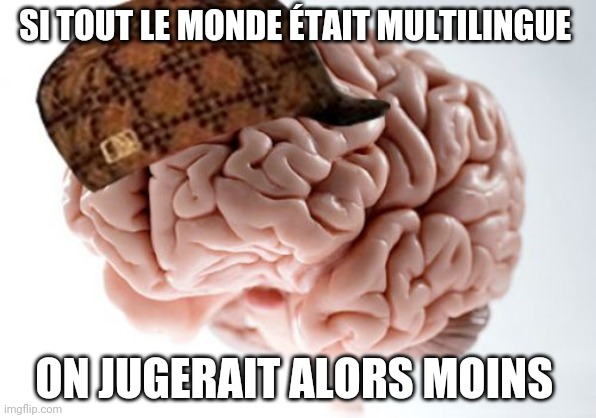 Au moins on se comprendrait mieux | SI TOUT LE MONDE ÉTAIT MULTILINGUE; ON JUGERAIT ALORS MOINS | image tagged in memes,scumbag brain | made w/ Imgflip meme maker