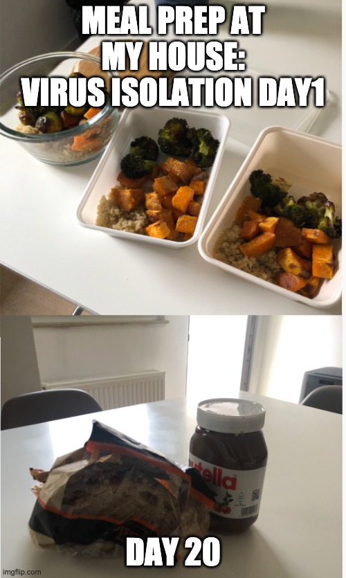 Meal prep | MEAL PREP AT MY HOUSE: VIRUS ISOLATION DAY1; DAY 20 | image tagged in meal prep | made w/ Imgflip meme maker