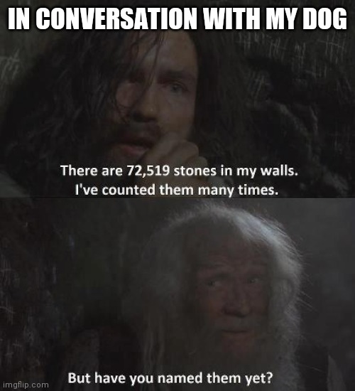IN CONVERSATION WITH MY DOG | image tagged in lockdown | made w/ Imgflip meme maker
