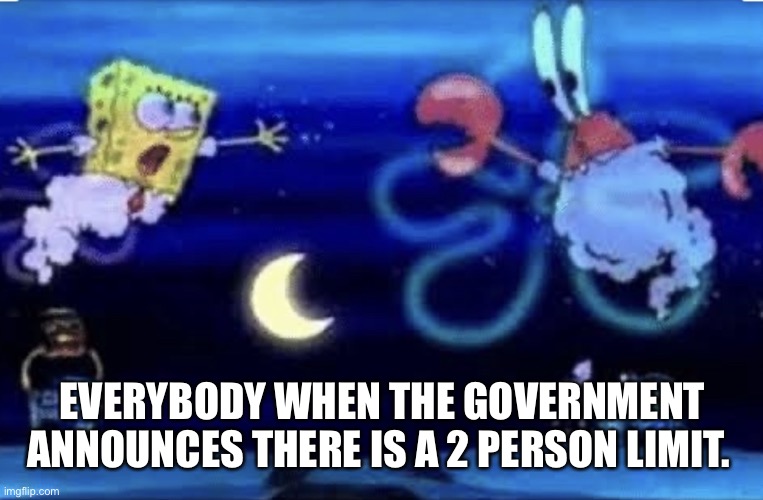 EVERYBODY WHEN THE GOVERNMENT ANNOUNCES THERE IS A 2 PERSON LIMIT. | image tagged in government | made w/ Imgflip meme maker