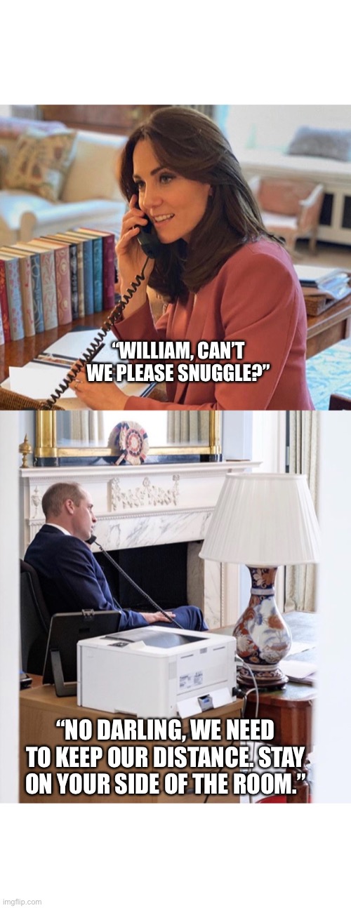 “WILLIAM, CAN’T WE PLEASE SNUGGLE?”; “NO DARLING, WE NEED TO KEEP OUR DISTANCE. STAY ON YOUR SIDE OF THE ROOM.” | image tagged in royals,coronavirus,katemiddleton,princewilliam,covid-19,socialdistancing | made w/ Imgflip meme maker