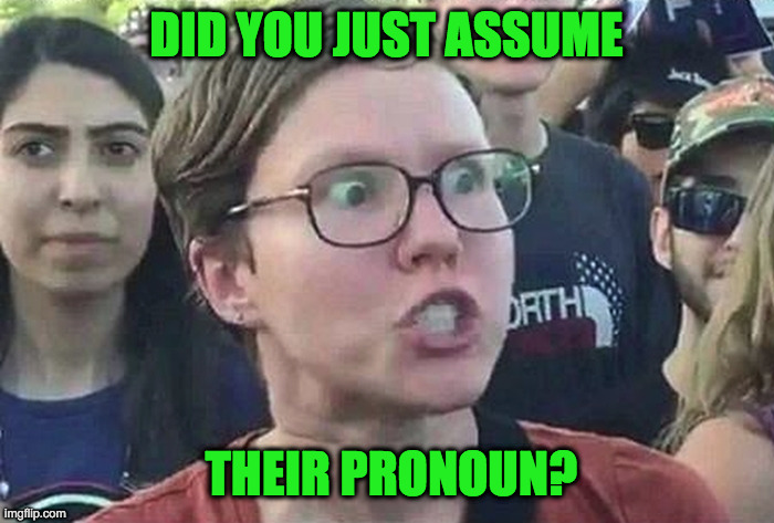 Triggered Liberal | DID YOU JUST ASSUME THEIR PRONOUN? | image tagged in triggered liberal | made w/ Imgflip meme maker