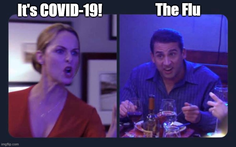 The Office Michael arguing with Jan | The Flu; It's COVID-19! | image tagged in office,the office,michael scott,paper | made w/ Imgflip meme maker