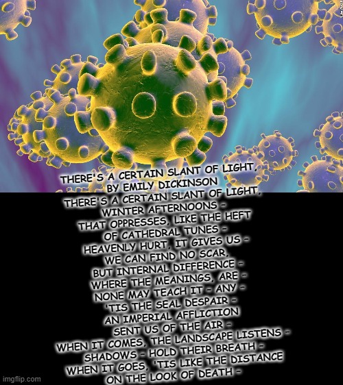 Coronavirus | THERE'S A CERTAIN SLANT OF LIGHT, 
BY EMILY DICKINSON

THERE'S A CERTAIN SLANT OF LIGHT,
WINTER AFTERNOONS –
THAT OPPRESSES, LIKE THE HEFT
OF CATHEDRAL TUNES –

HEAVENLY HURT, IT GIVES US –
WE CAN FIND NO SCAR,
BUT INTERNAL DIFFERENCE –
WHERE THE MEANINGS, ARE –

NONE MAY TEACH IT – ANY –
'TIS THE SEAL DESPAIR –
AN IMPERIAL AFFLICTION
SENT US OF THE AIR –

WHEN IT COMES, THE LANDSCAPE LISTENS –
SHADOWS – HOLD THEIR BREATH –
WHEN IT GOES, 'TIS LIKE THE DISTANCE
ON THE LOOK OF DEATH – | image tagged in coronavirus | made w/ Imgflip meme maker