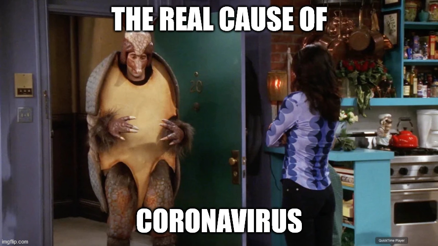 The real cause of Coronavirus. Friends' Ross Armadillo man. | THE REAL CAUSE OF; CORONAVIRUS | image tagged in coronavirus,ross,friends,armadillo man | made w/ Imgflip meme maker
