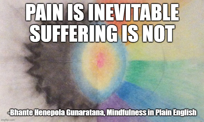 mindfulness | PAIN IS INEVITABLE
SUFFERING IS NOT; -Bhante Henepola Gunaratana, Mindfulness in Plain English | image tagged in buddhism,peace,meditation | made w/ Imgflip meme maker