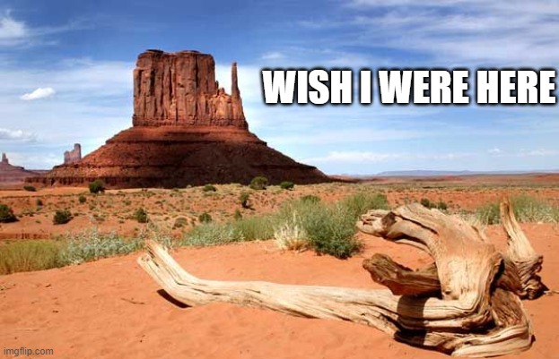 WISH I WERE HERE | image tagged in i wish,desert,isolation | made w/ Imgflip meme maker