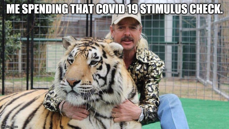 Tiger king | ME SPENDING THAT COVID 19 STIMULUS CHECK. | image tagged in tiger king | made w/ Imgflip meme maker