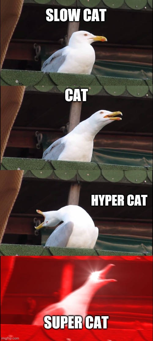 Inhaling Seagull | SLOW CAT; CAT; HYPER CAT; SUPER CAT | image tagged in memes,inhaling seagull | made w/ Imgflip meme maker