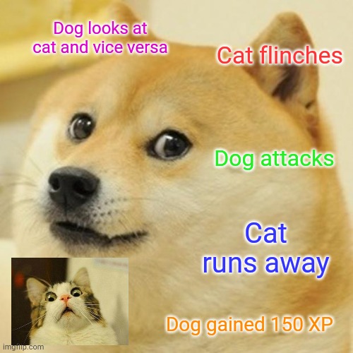 Doge | Dog looks at cat and vice versa; Cat flinches; Dog attacks; Cat runs away; Dog gained 150 XP | image tagged in memes,doge | made w/ Imgflip meme maker