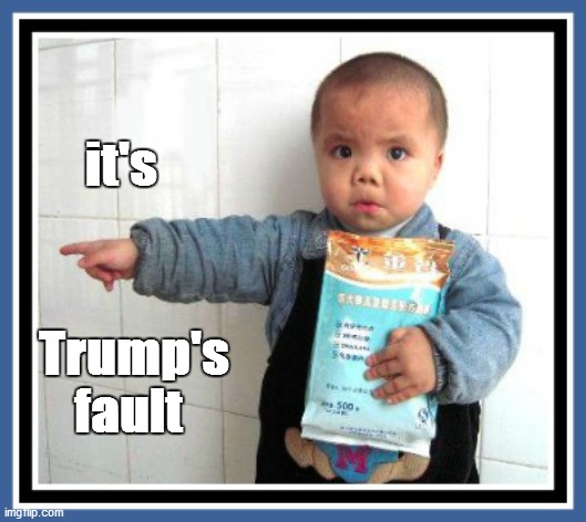 He did it | it's Trump's
fault | image tagged in he did it | made w/ Imgflip meme maker