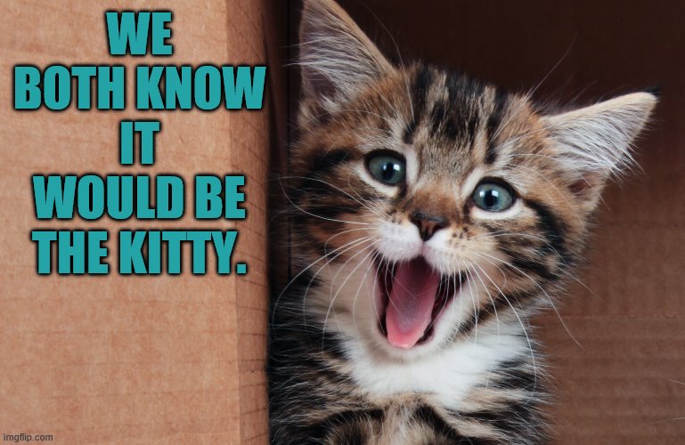 WE BOTH KNOW IT WOULD BE THE KITTY. | made w/ Imgflip meme maker
