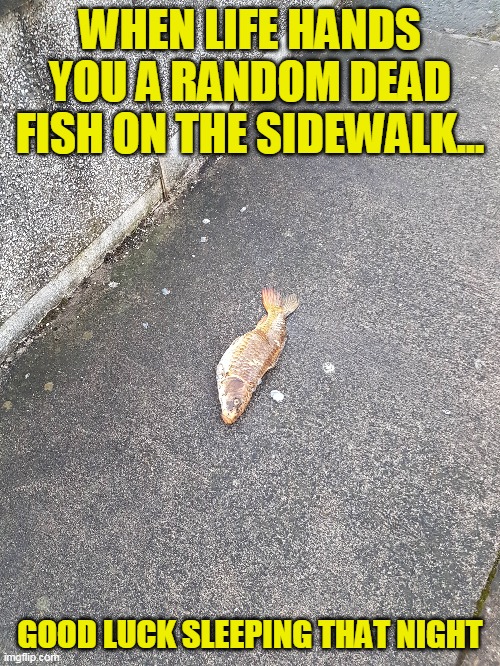At least with a lemon you could squeeze it into someone's paper cut! | WHEN LIFE HANDS YOU A RANDOM DEAD FISH ON THE SIDEWALK... GOOD LUCK SLEEPING THAT NIGHT | image tagged in just a joke | made w/ Imgflip meme maker