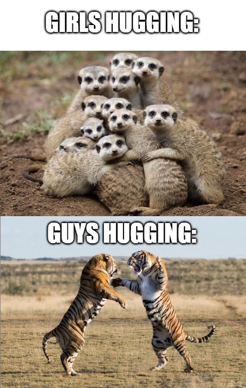GIRLS HUGGING:; GUYS HUGGING: | image tagged in animals hugging | made w/ Imgflip meme maker