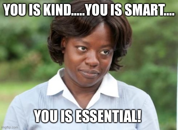 the help |  YOU IS KIND.....YOU IS SMART.... YOU IS ESSENTIAL! | image tagged in the help | made w/ Imgflip meme maker