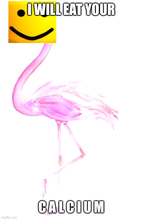 Roblox Flamingo Memes Gifs Imgflip