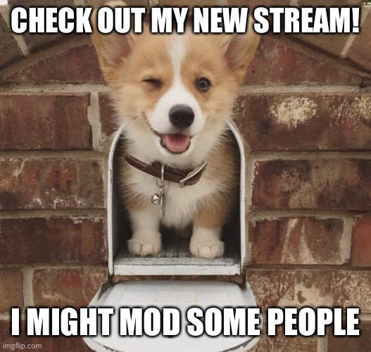 The link is https//imgflip.com/m/Corgimemes | CHECK OUT MY NEW STREAM! I MIGHT MOD SOME PEOPLE | image tagged in you got this corgi,corgilove,mods | made w/ Imgflip meme maker