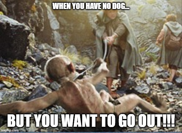 Corona | WHEN YOU HAVE NO DOG... BUT YOU WANT TO GO OUT!!! | image tagged in lotr,lord of the rings,corona,walking the dog | made w/ Imgflip meme maker