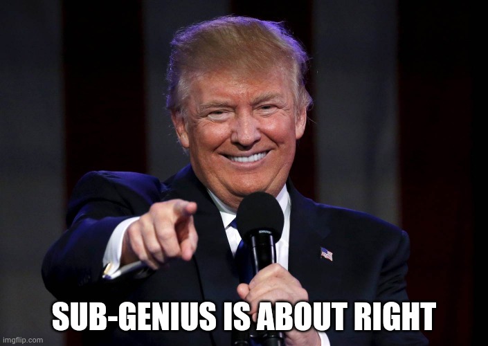 Trump laughing at haters | SUB-GENIUS IS ABOUT RIGHT | image tagged in trump laughing at haters | made w/ Imgflip meme maker