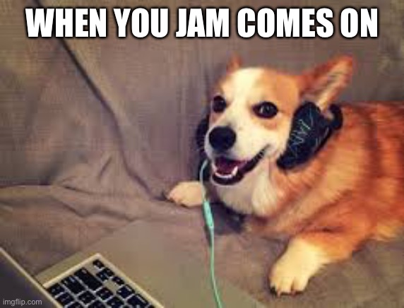 corgi headphones | WHEN YOU JAM COMES ON | image tagged in corgi headphones | made w/ Imgflip meme maker