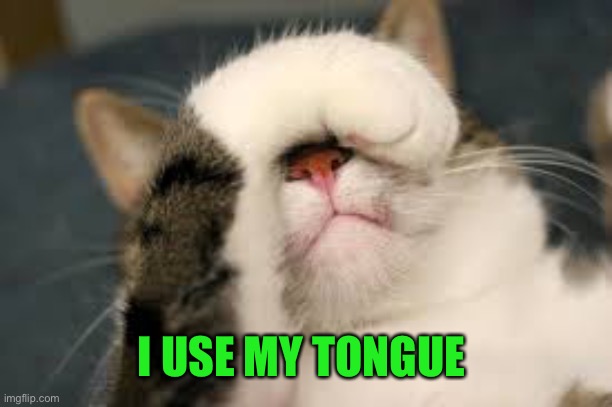facepalm cat | I USE MY TONGUE | image tagged in facepalm cat | made w/ Imgflip meme maker