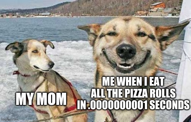 Original Stoner Dog | ME WHEN I EAT ALL THE PIZZA ROLLS IN .0000000001 SECONDS; MY MOM | image tagged in memes,original stoner dog | made w/ Imgflip meme maker