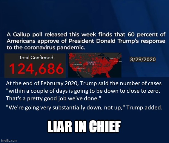 Trump is doing a good job? | LIAR IN CHIEF | image tagged in trump's job approval,coronavirus,liar | made w/ Imgflip meme maker