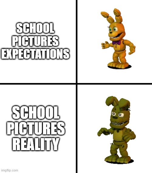 Then again, schools are all online now, so no school pictures? | SCHOOL PICTURES EXPECTATIONS; SCHOOL PICTURES REALITY | image tagged in expectations vs reality fnaf world edit,school pictures,spring bonnie,springtrap,covid-19 | made w/ Imgflip meme maker