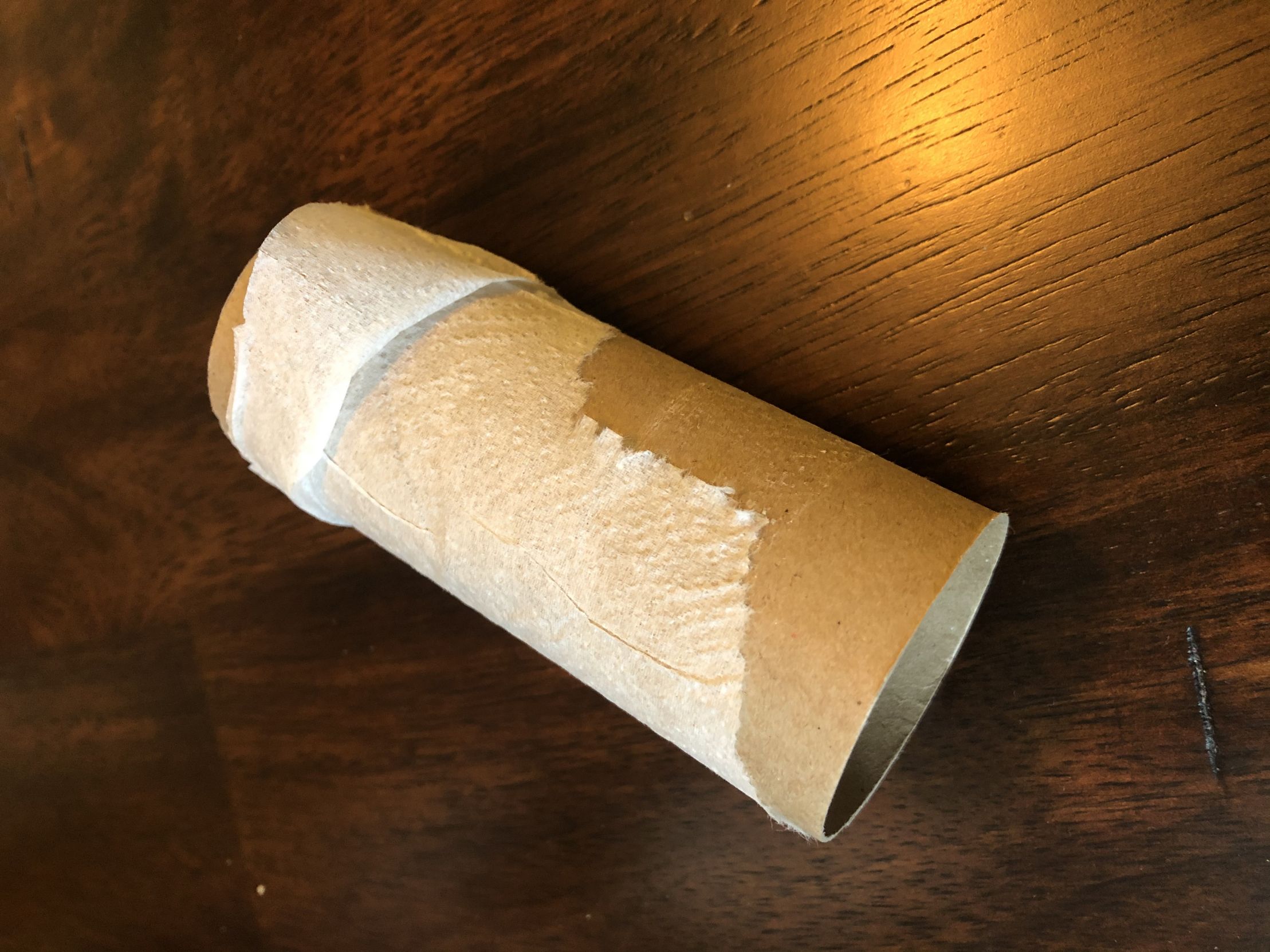 Toilet paper roll Blank Meme Template