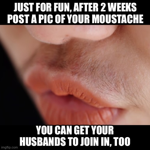 Woman’s lip | JUST FOR FUN, AFTER 2 WEEKS POST A PIC OF YOUR MOUSTACHE; YOU CAN GET YOUR HUSBANDS TO JOIN IN, TOO | image tagged in hair,moustache,lip hair,coronavirus,2020 | made w/ Imgflip meme maker