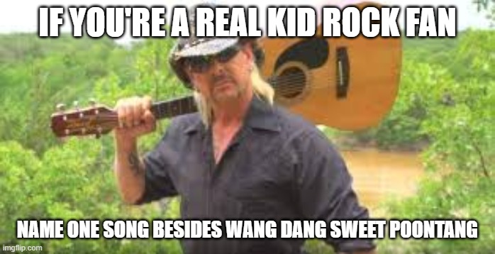 Tiger king meets kid rock and the nuge | IF YOU'RE A REAL KID ROCK FAN; NAME ONE SONG BESIDES WANG DANG SWEET POONTANG | image tagged in tiger king,kid rock,the nuge | made w/ Imgflip meme maker