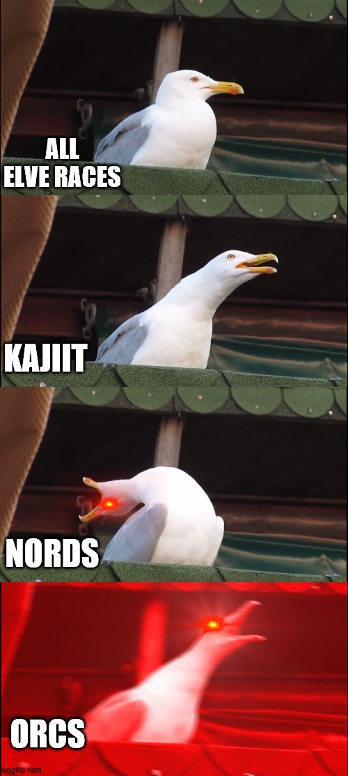 how each race in Skyrim act when fighting | ALL ELVE RACES; KAJIIT; NORDS; ORCS | image tagged in memes,inhaling seagull | made w/ Imgflip meme maker