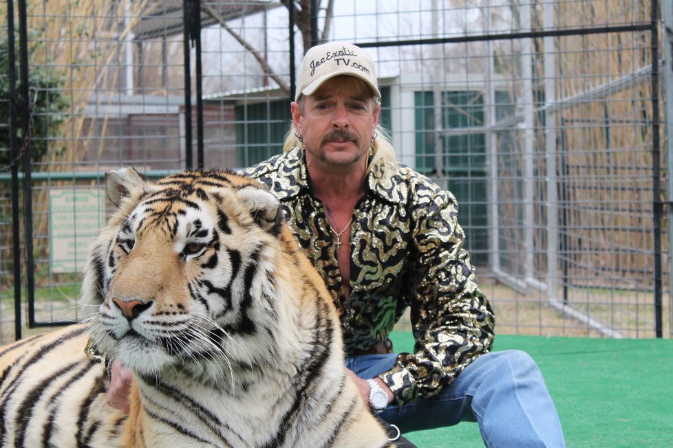 High Quality Joe Exotic Blank Meme Template