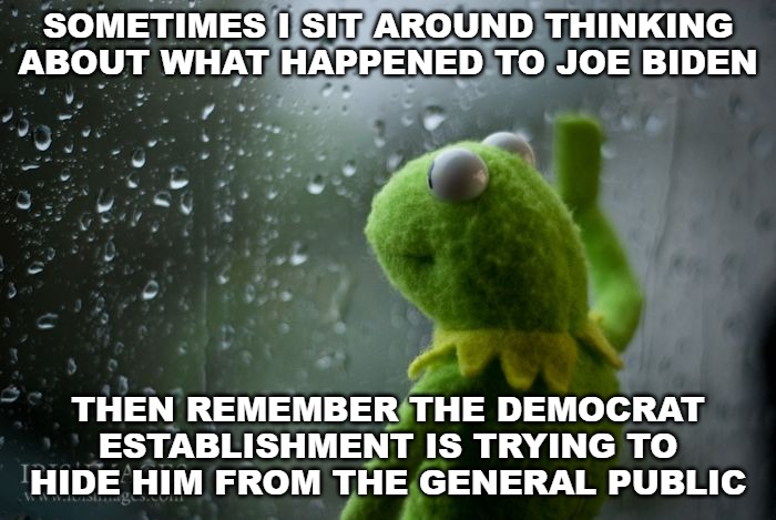 I think Joe Biden forgot he was running for President anyway. | SOMETIMES I SIT AROUND THINKING ABOUT WHAT HAPPENED TO JOE BIDEN; THEN REMEMBER THE DEMOCRAT ESTABLISHMENT IS TRYING TO HIDE HIM FROM THE GENERAL PUBLIC | image tagged in kermit window,joe biden,democrat,election 2020 | made w/ Imgflip meme maker