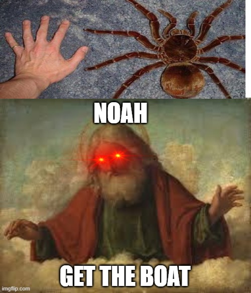 god | NOAH; GET THE BOAT | image tagged in god | made w/ Imgflip meme maker
