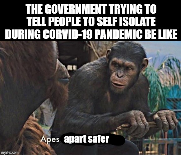 Apes apart safer | THE GOVERNMENT TRYING TO TELL PEOPLE TO SELF ISOLATE DURING CORVID-19 PANDEMIC BE LIKE; apart safer | image tagged in apes together strong,quarantine,isolation,pandemic,corvid-19,coronavirus | made w/ Imgflip meme maker